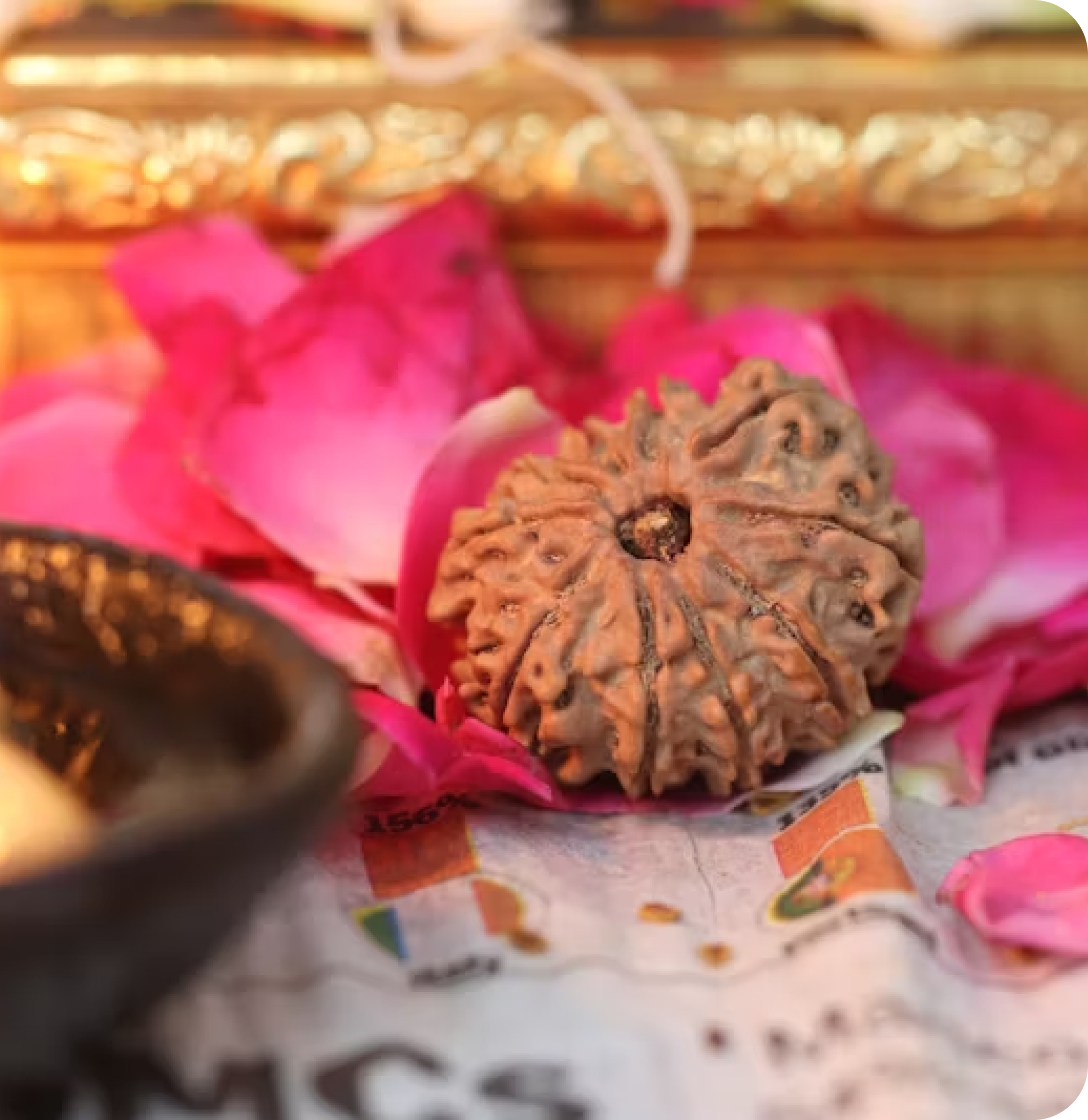 Buy Best Nepali Authentic Rudraksha from Everest Beads